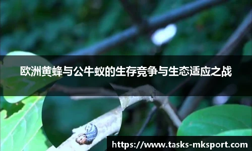 欧洲黄蜂与公牛蚁的生存竞争与生态适应之战