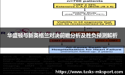 华盛顿与新英格兰对决前瞻分析及胜负预测解析